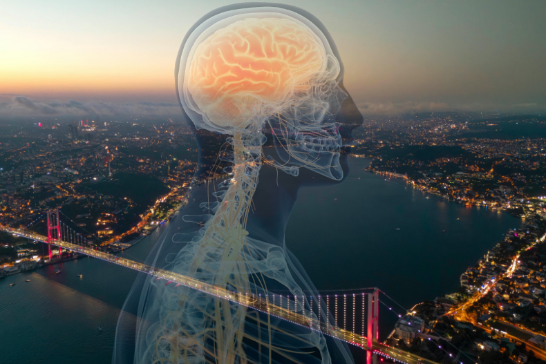 İstanbul beyin ve omurga cerrahisi